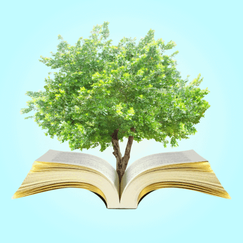 Book Stories Tree Of Knowledge