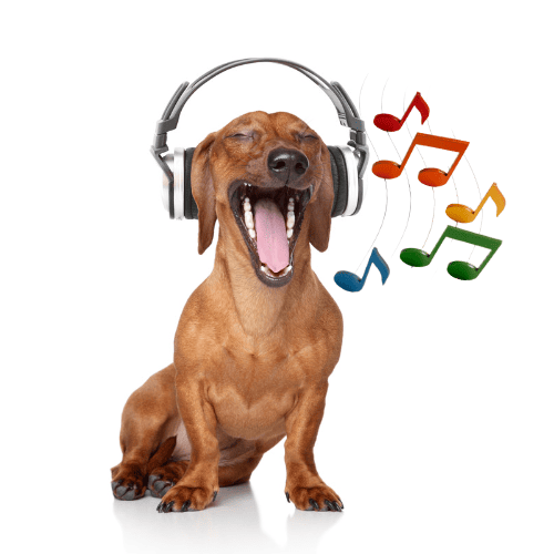 Musical Singing Dog Headphones