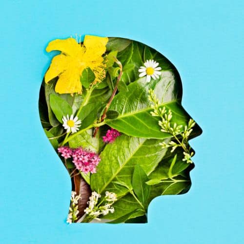 Papercut Head Flowers Inside On Blue Background Facing Right