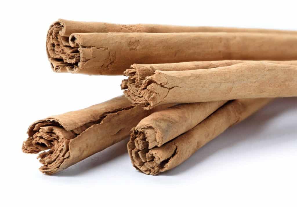 Cinnamon Ceylon Closeup 2