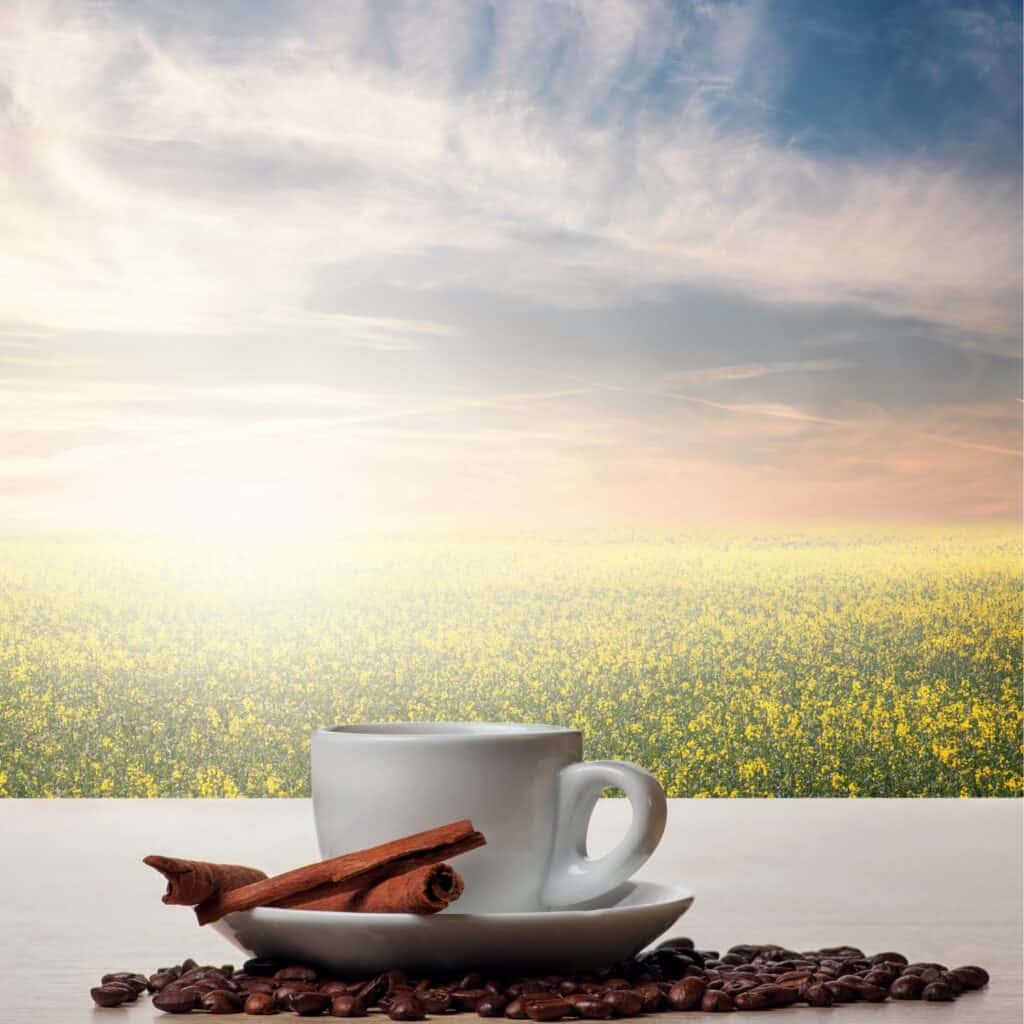 15 Outstanding Reasons To Sweeten Your Coffee With Cinnamon Cup Of Coffee In The Morning Sun